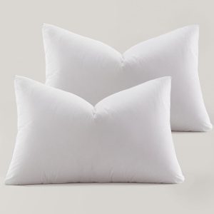Ultra Soft Down Pillow Set of 2