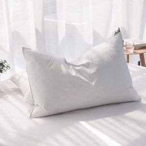 Goose Feather and Down Pillows Set of 2